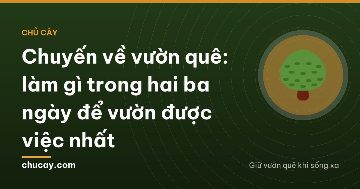 Chuyến về vườn quê: làm gì trong hai ba ngày để vườn được việc nhất