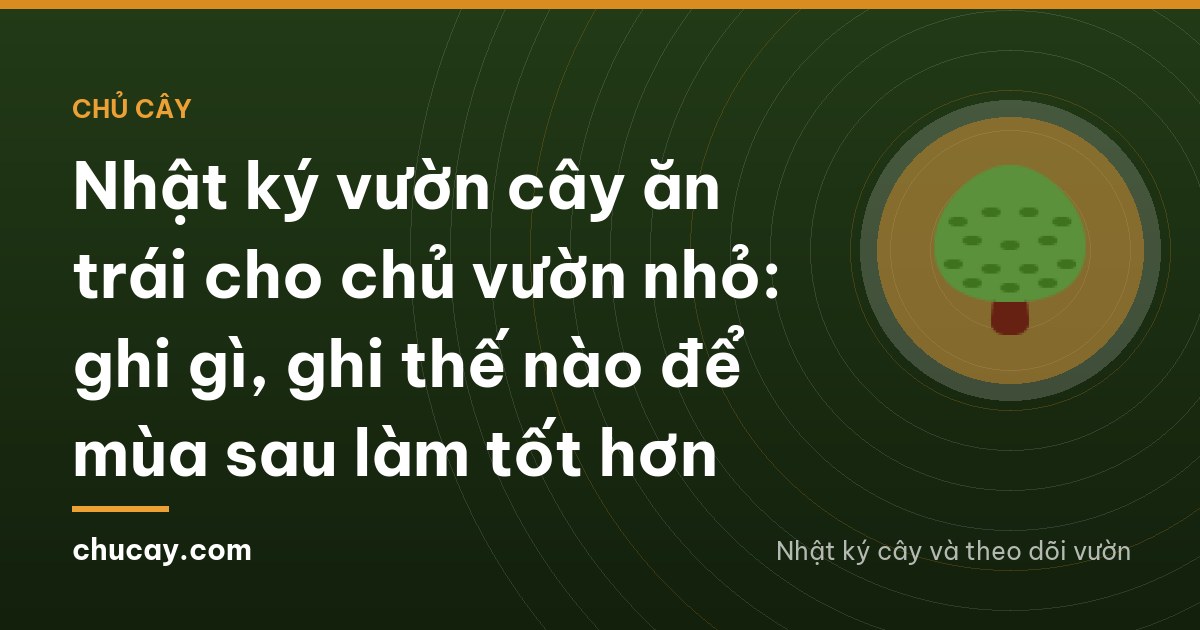Over-the-shoulder view of a middle-aged Vietnamese man sitting on a low wooden stool beside a mango tree, writing in a blank notebook at dawn